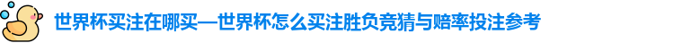 世界杯买注在哪买